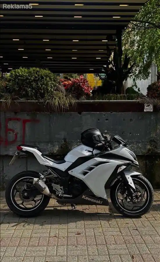 Kawasaki Ninja 300