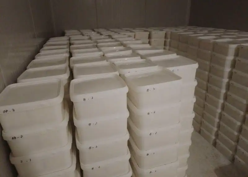 Tradicionalno ovco sirenje od Ovcepolieto