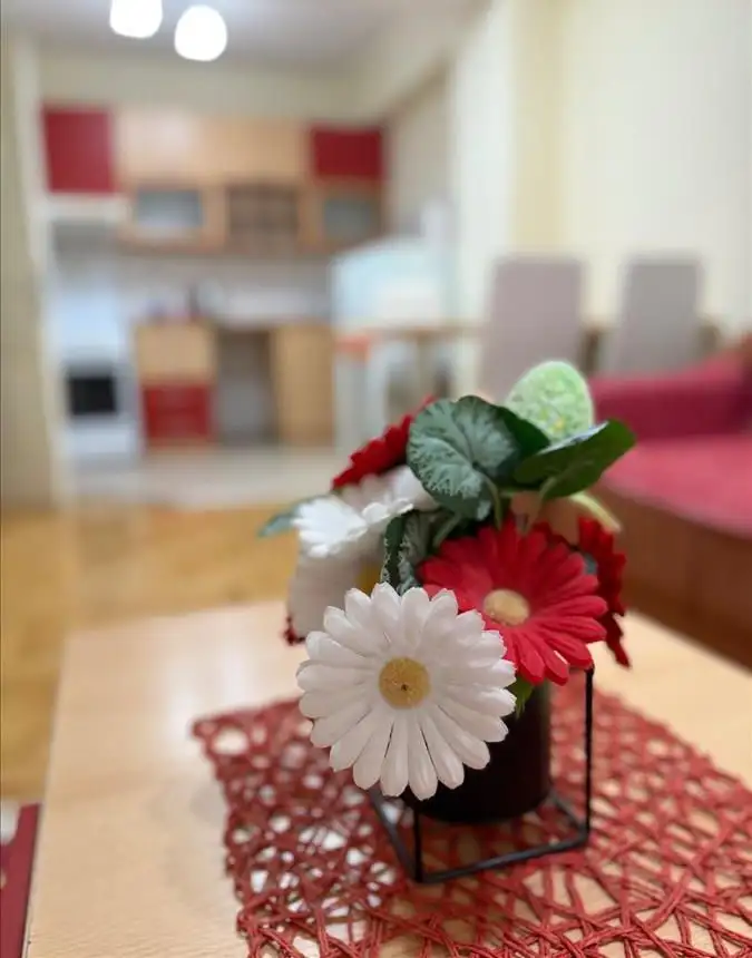 APARTMAN VO STROG CENTAR NA OHRID SO SOPSTVEN PARKING!